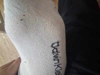 Socken bilder
