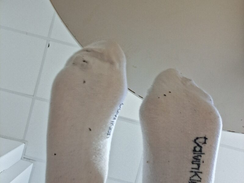 Socken bilder